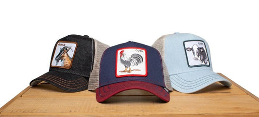 Goorin Bros Animal Hats Meaning (Explained)
