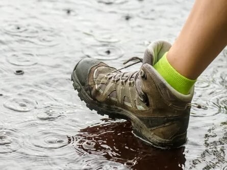 Waterproofing Shoes: Best Hacks and Products to Use