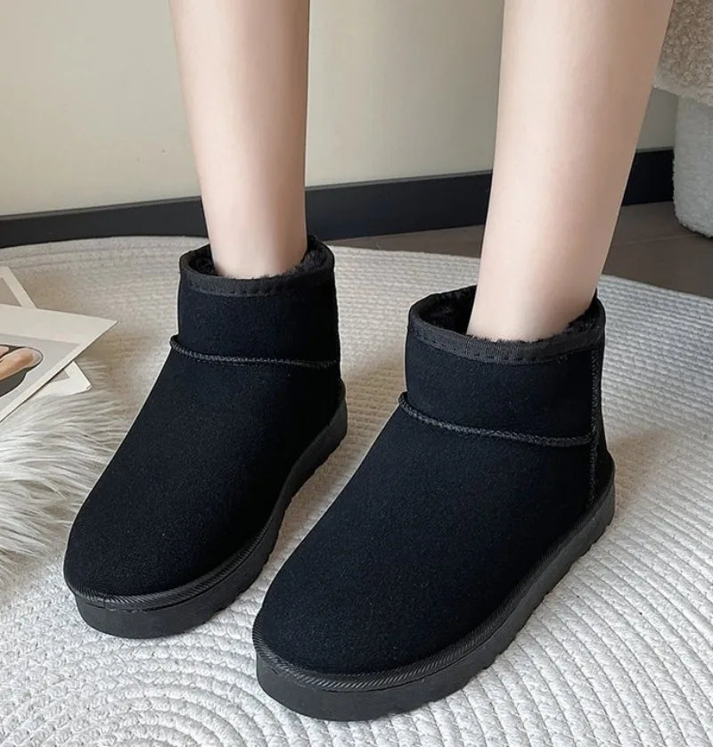 48447478104383|48447478137151|48447478169919|48447478202687|48447478235455|48447478268223|48447478300991